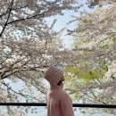 플레인호텔(THE PLAIN) | 춘천 레고랜드 근처 벚꽃숙소 혼자여행 가성비 가심비 완벽한 플레인호텔 추천후기