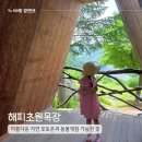 e편한목장 | 춘천 해피초원목장 동물체험 포토존 한우버거 후기