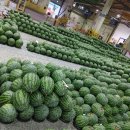 산골농산물유통