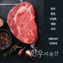생고기정육도매센타 이미지