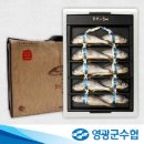 온누리영광