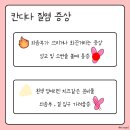 세라의원 이미지