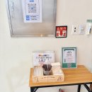 열두달, 예쁨 | 밀양 대형카페 열두달 사계절을 느낄 수 있는 휘낭시에 맛집 이색카페