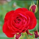 손뜨개 취미 이미지