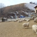 이리목장 이미지