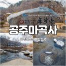 생골약수터 | 공주 가볼만한곳 마곡사 태화산 충남 여행지