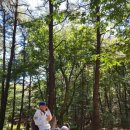 자황한방병원 이미지