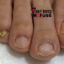 레푸스 평택점 이미지