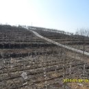 삼칠농장 이미지