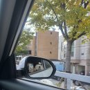 두리랑식당 | 가창 애견동반 식당 자연속에서 먹는 삼겹살 맛집 '숲속의집'