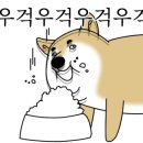 원카츠(대신) 이미지