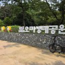 시흥대로40길 이미지