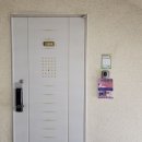 구피샵청주 이미지