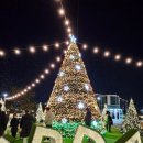 정원 | 대구 앞산 겨울정원 후기｜축제 기간·주차장·토요일 공연시간까지 총정리