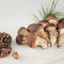 연호농장 이미지