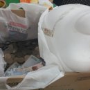 신선동-11 이미지