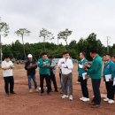 보성이불 이미지