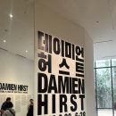 2026 서울 전시 추천 | 국현 데이미언 허스트, 보고 나서 말문 막힌 후기