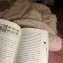 금연건물 | 12월 일상 | 하이원리조트, 디지털광고대상, 쿠팡알바후기, 관악산등반