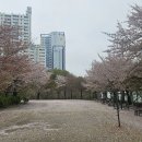 작은 사람의 더 작은 삶 이야기.(미국 이민자의 고백)., 이미지