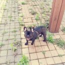 프불하우스 이미지