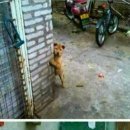 나잡아바라 이미지