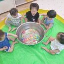 예일몬테소리 어린이집 Daum카페