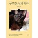 쿠로 - 은평구 연서로 211-3 | 쿠로