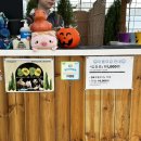 서한농장 | 용인 무럭무럭농장 아이와가볼만한곳 농장체험