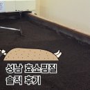 다이어트벨리댄스(취미과정 / 주간) | 성남 효소찜질 야탑 효소자연치유센터 후기