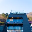 미앤마이독스 이미지