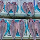 풍성수산 이미지