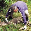 산양2리 이미지