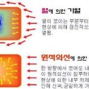 1/12일 본부장편지입니다. 이미지