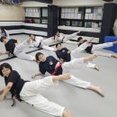 국가대표 국기태권도 | 경찰/소방/공무원 가산점, 성인 태권도 단증으로 합격! 금강태권도 성인반 완벽 분석