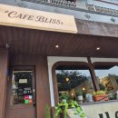 사파동113 이미지