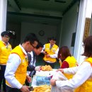 삼승면사무소 Daum카페