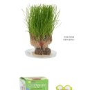 축복지역아동센터 이미지