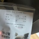 애니웰 동물병원 이미지