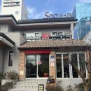 수헤어 대구수성점 | 톤다운 염색 후기