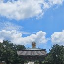 [경남/사찰여행] 고성 문수암 보현암, 창원 마산 장수암 후기