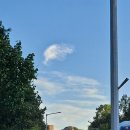 왕박사식당 이미지