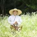 선엽 현대불교신문