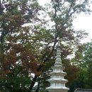 송광암 | 전남 고흥군 거금도 용두봉산 송광암