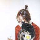 코코스퀘어 애견미용 이미지