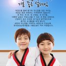 한국태권도컨설팅 이미지