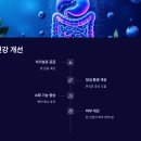 블루베리 효능과 부작용