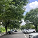 장흥 산벚나무길 | [수영장 후기] 양주 취사 가능한 ‘장흥 풀장’ 4년연속 방문한 단골의 내돈내산 후기