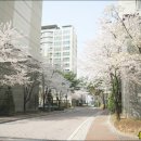 솔솔조경건설