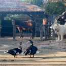 황토펜션 이미지